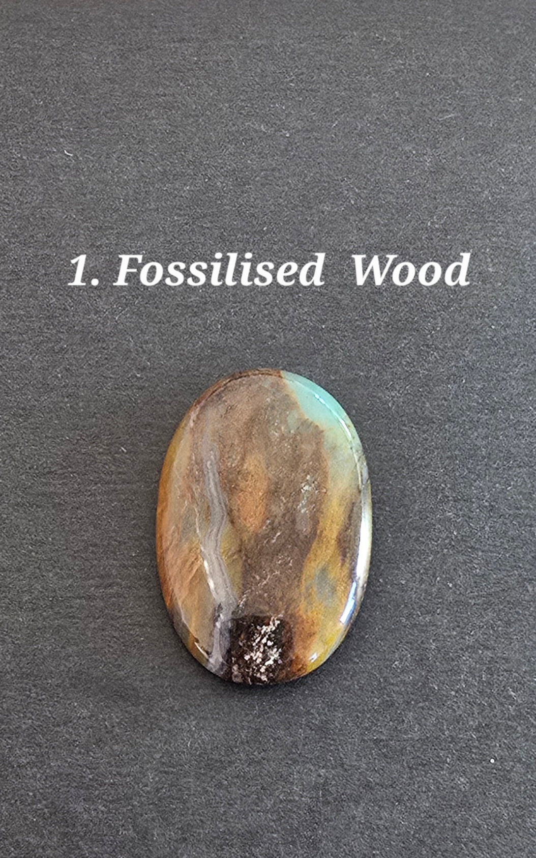 Fossilised Wood
