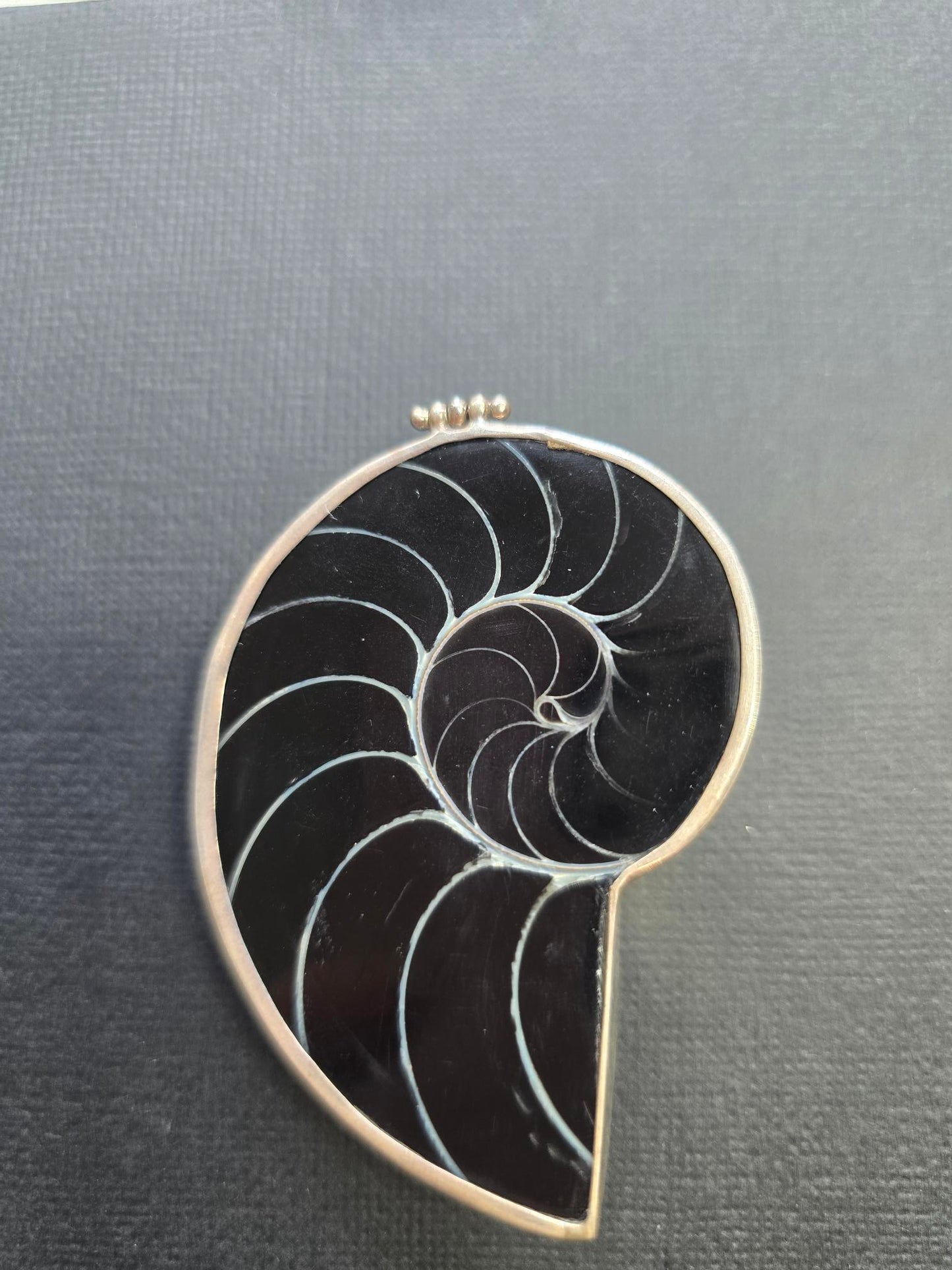 Nautilus shell - Sterling Silver - Black Resin