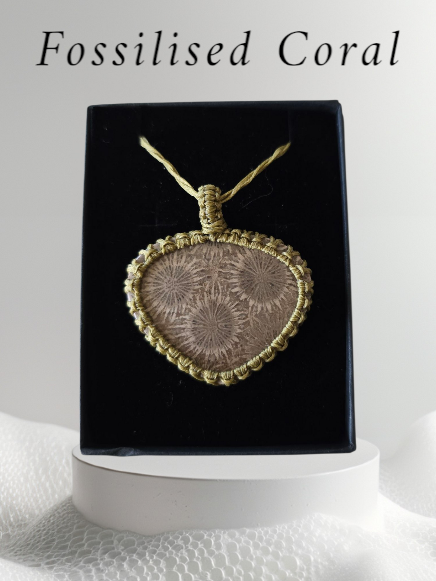 Fossilised Coral Pendant