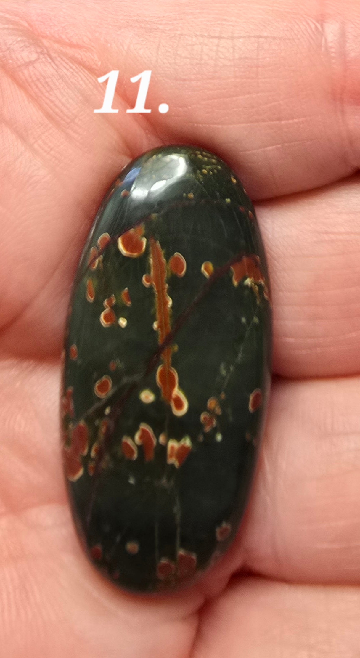 Black Blood Stone- Various Shapes and Sizes