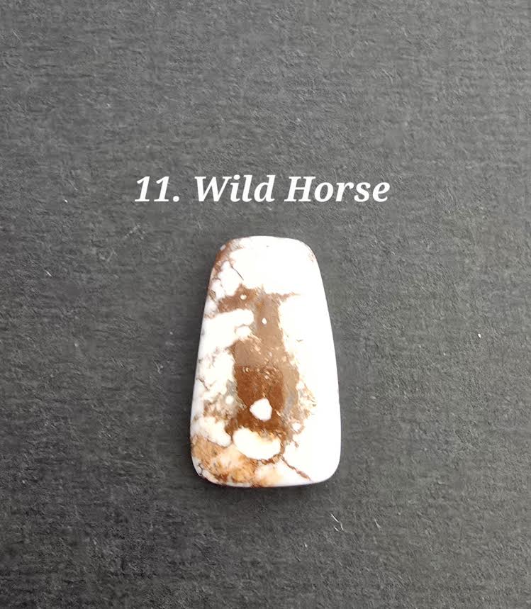Wild Horse Jasper - Various Shapes and Sizes