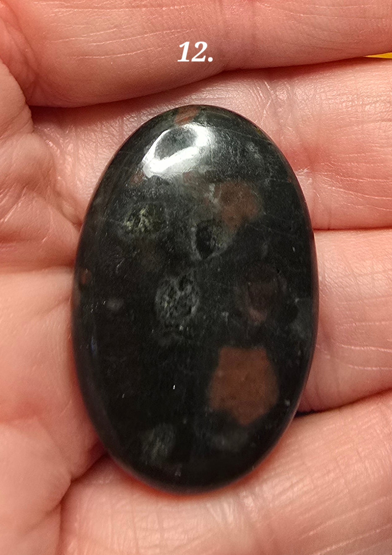 Black Blood Stone- Various Shapes and Sizes