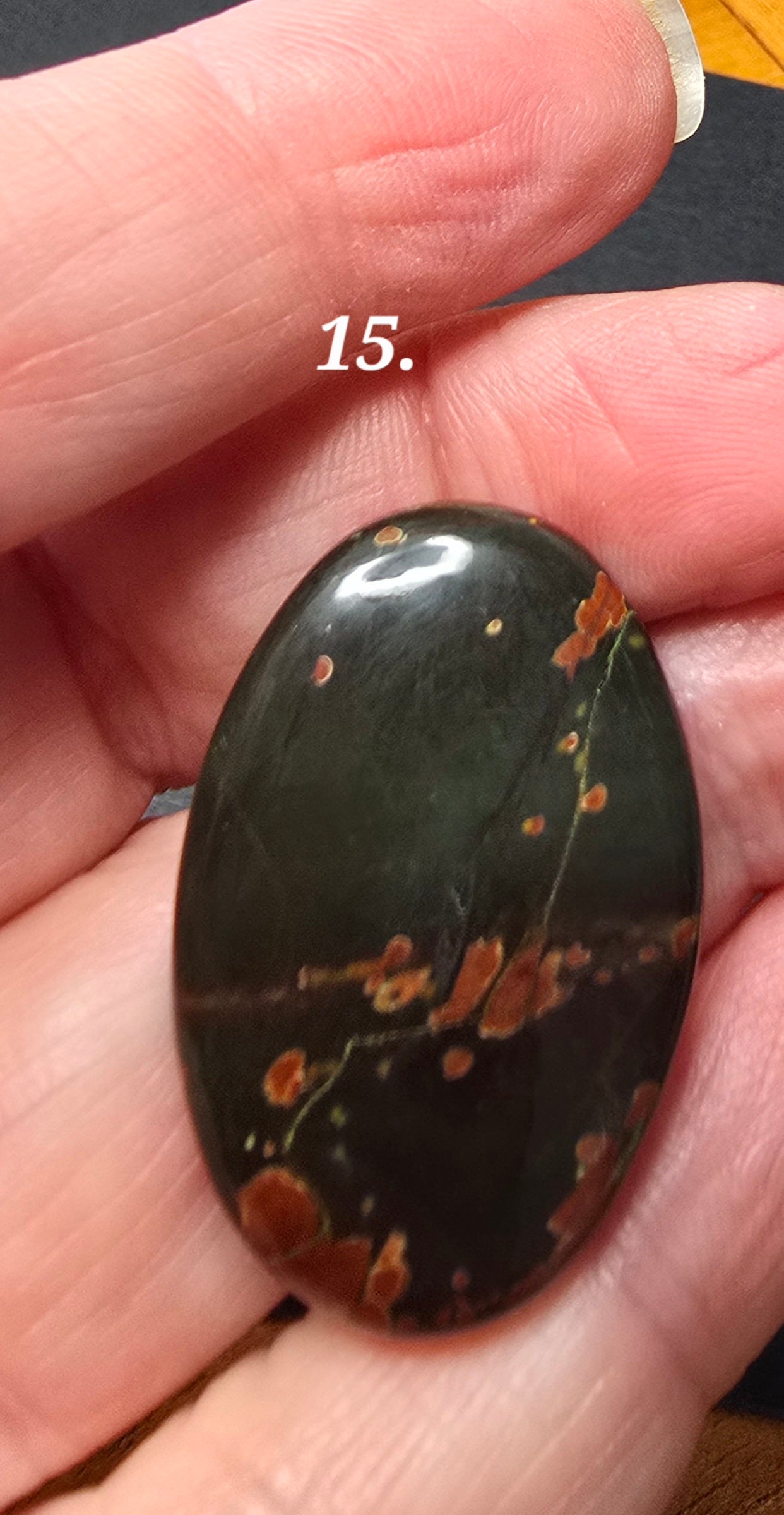 Black Blood Stone- Various Shapes and Sizes