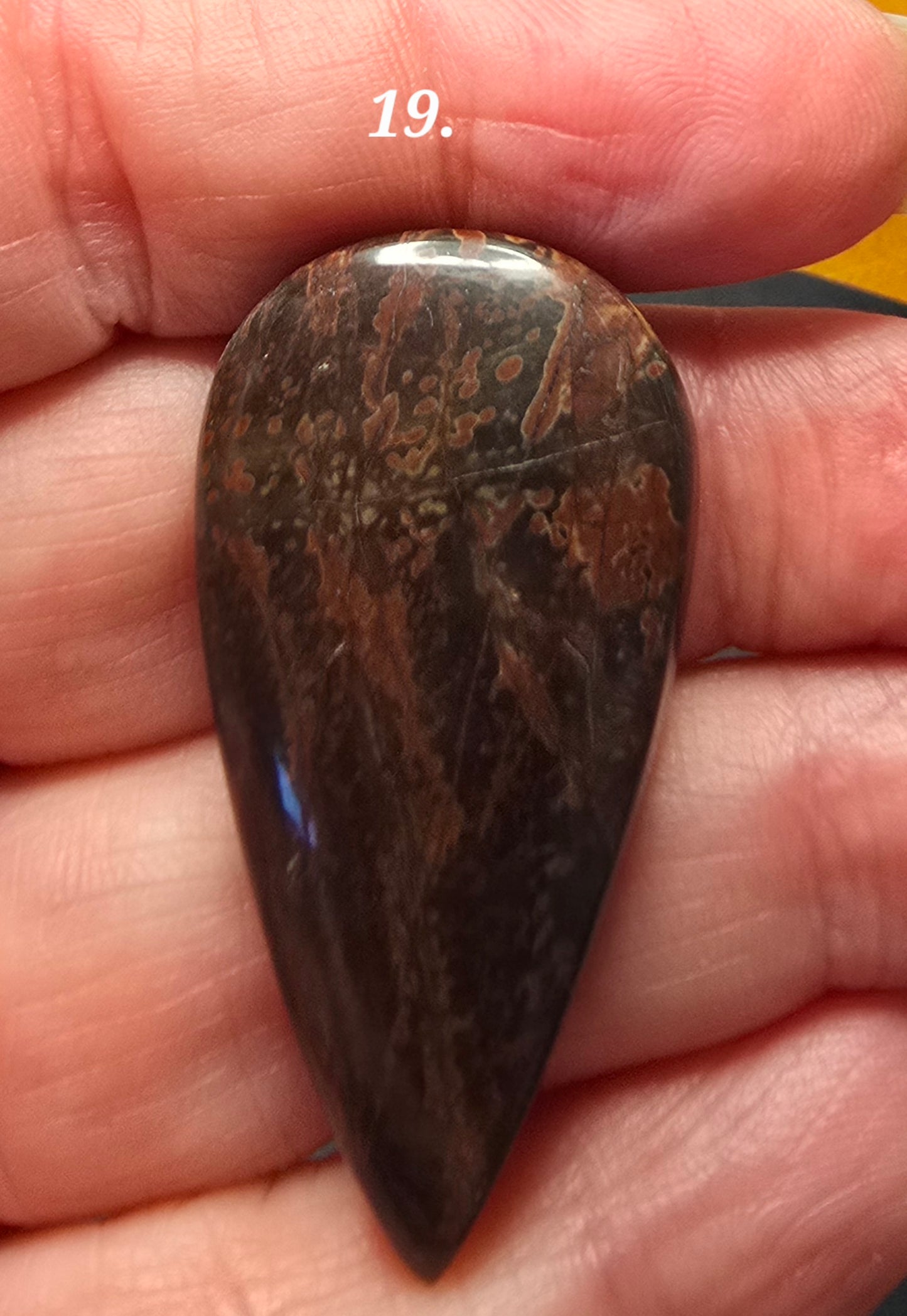 Black Blood Stone- Various Shapes and Sizes