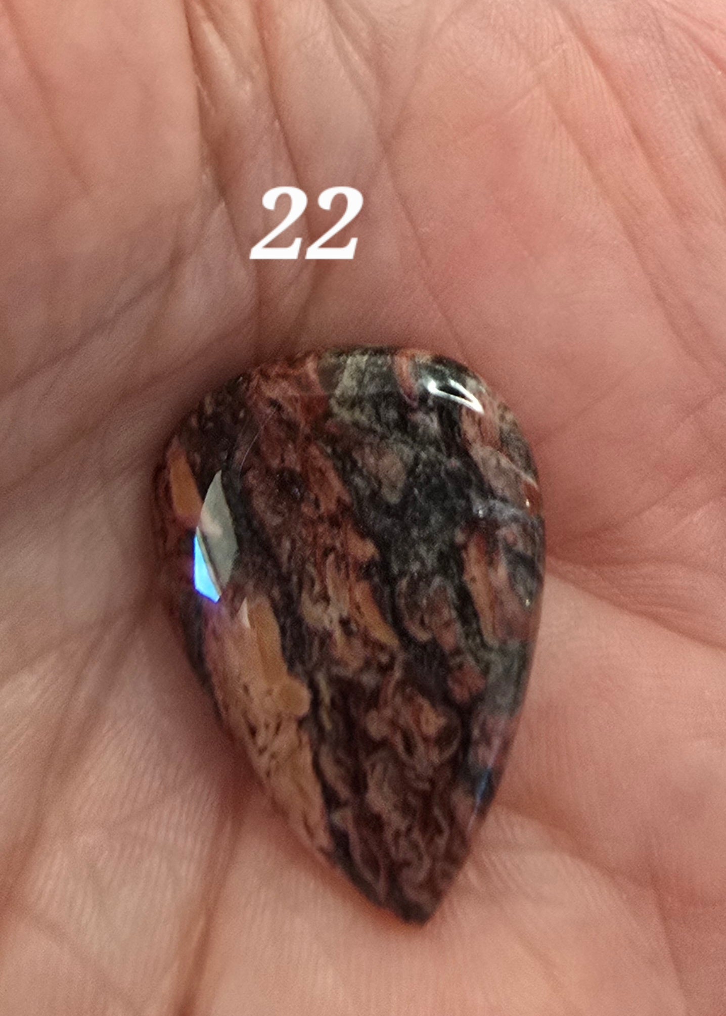 Black Blood Stone- Various Shapes and Sizes