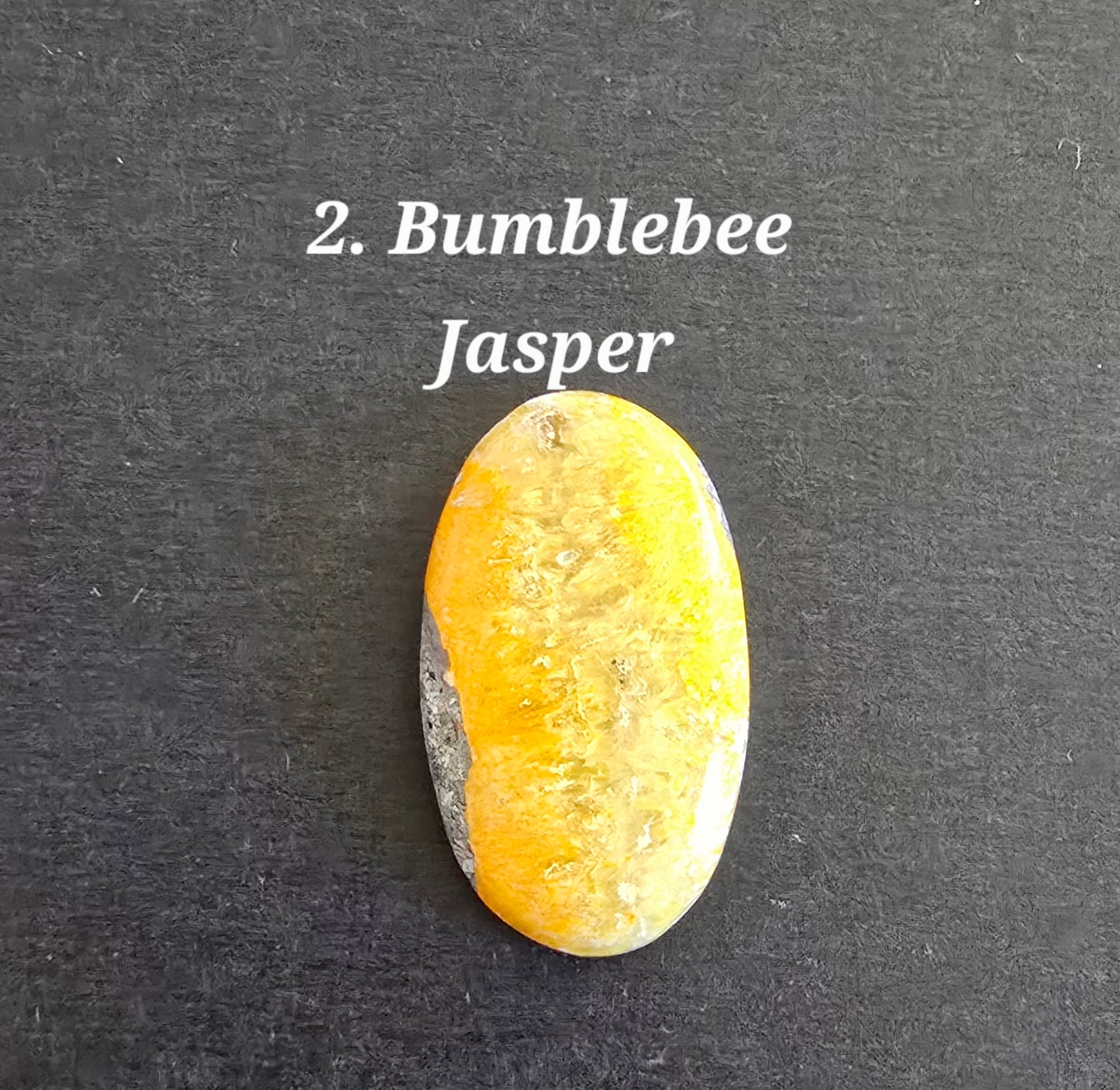 Bumble Bee Jasper