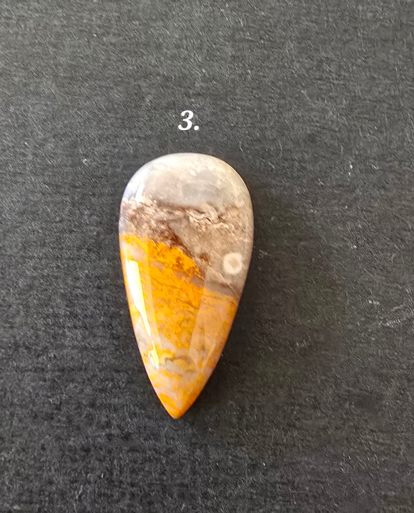 Bumble Bee Jasper
