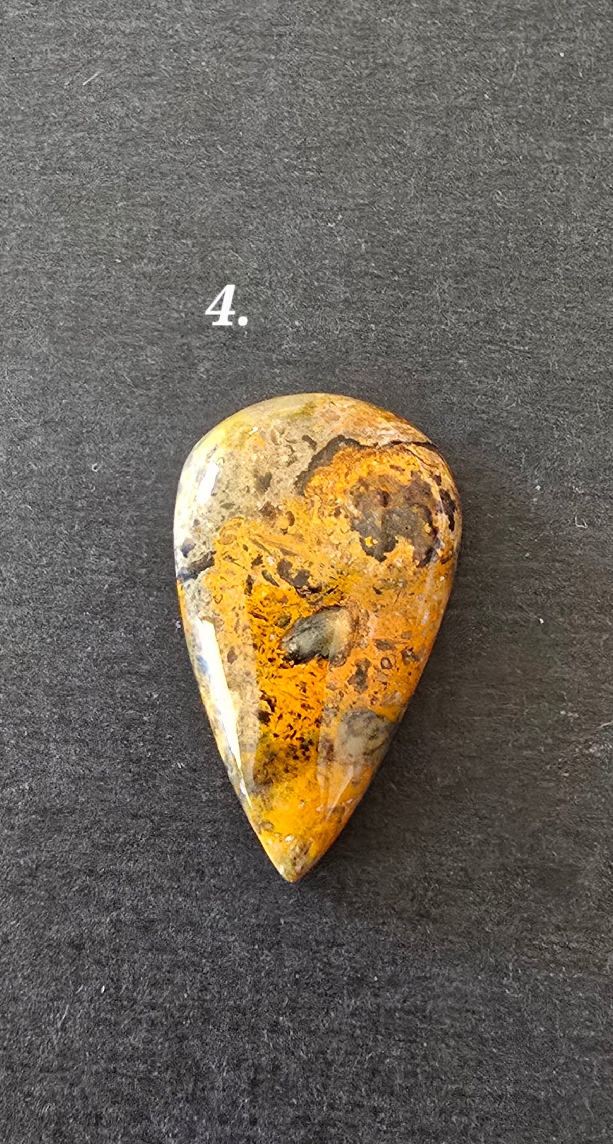 Bumble Bee Jasper