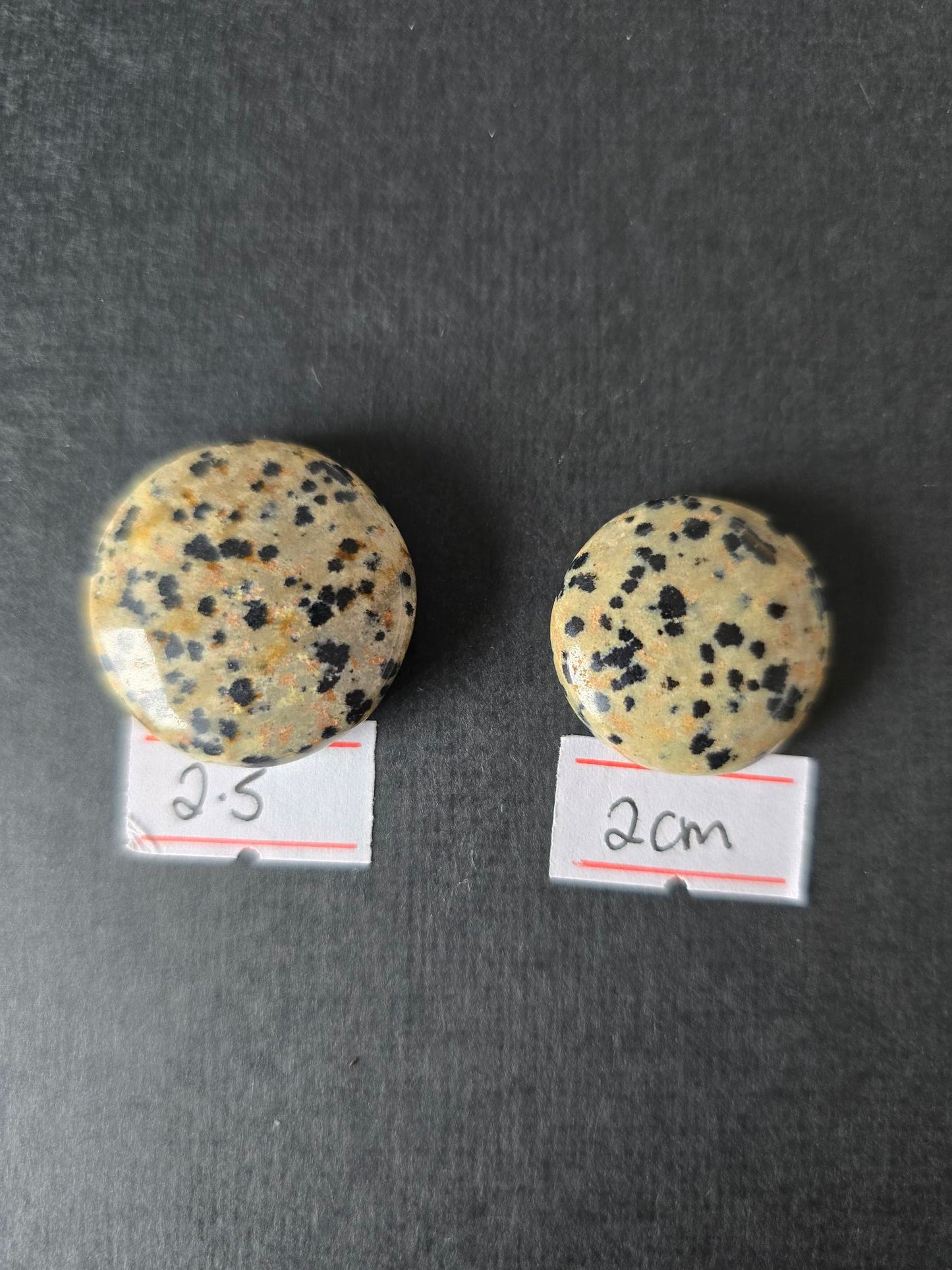 Dalmatian Jasper set of 5