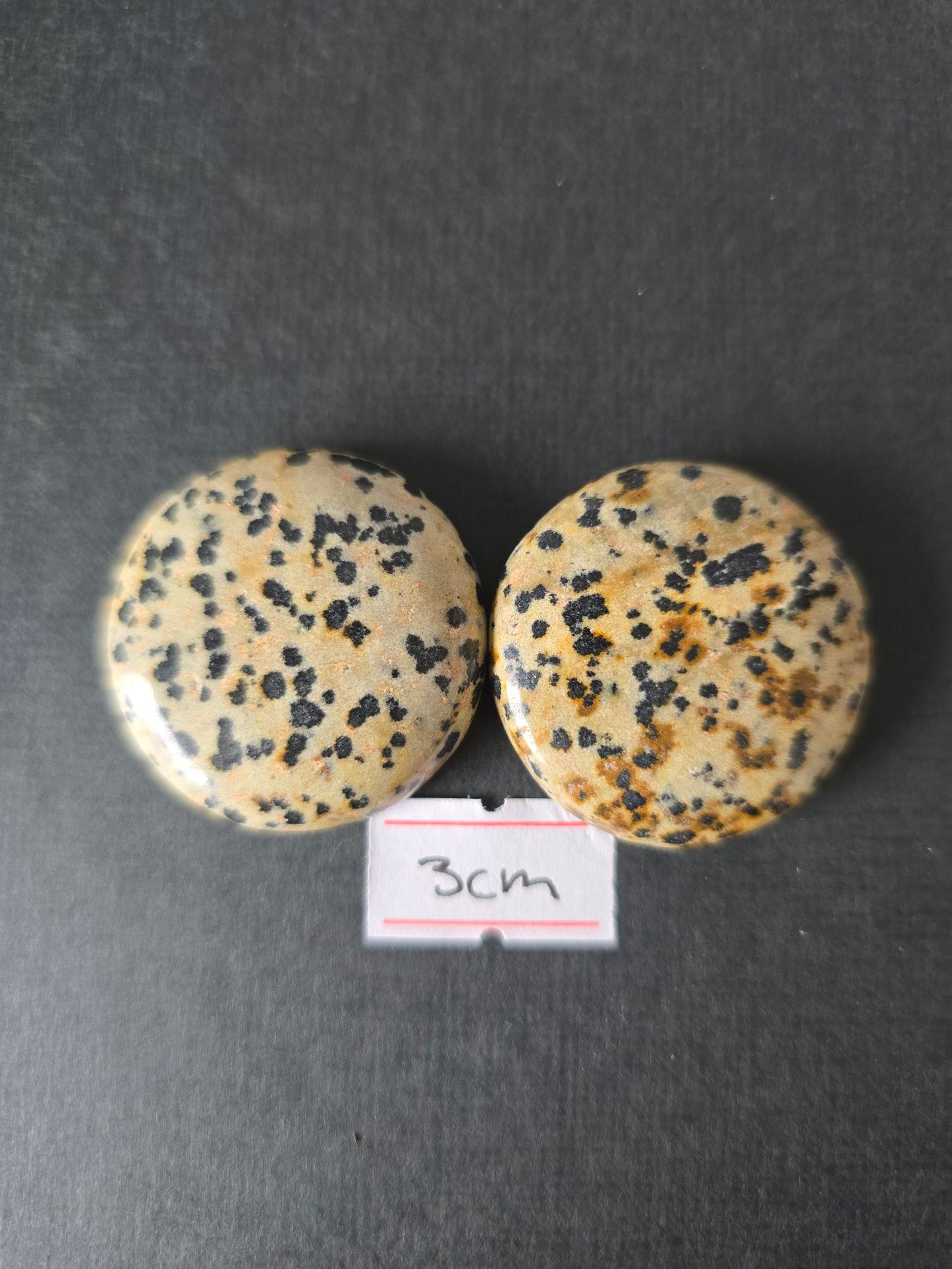 Dalmatian Jasper set of 5