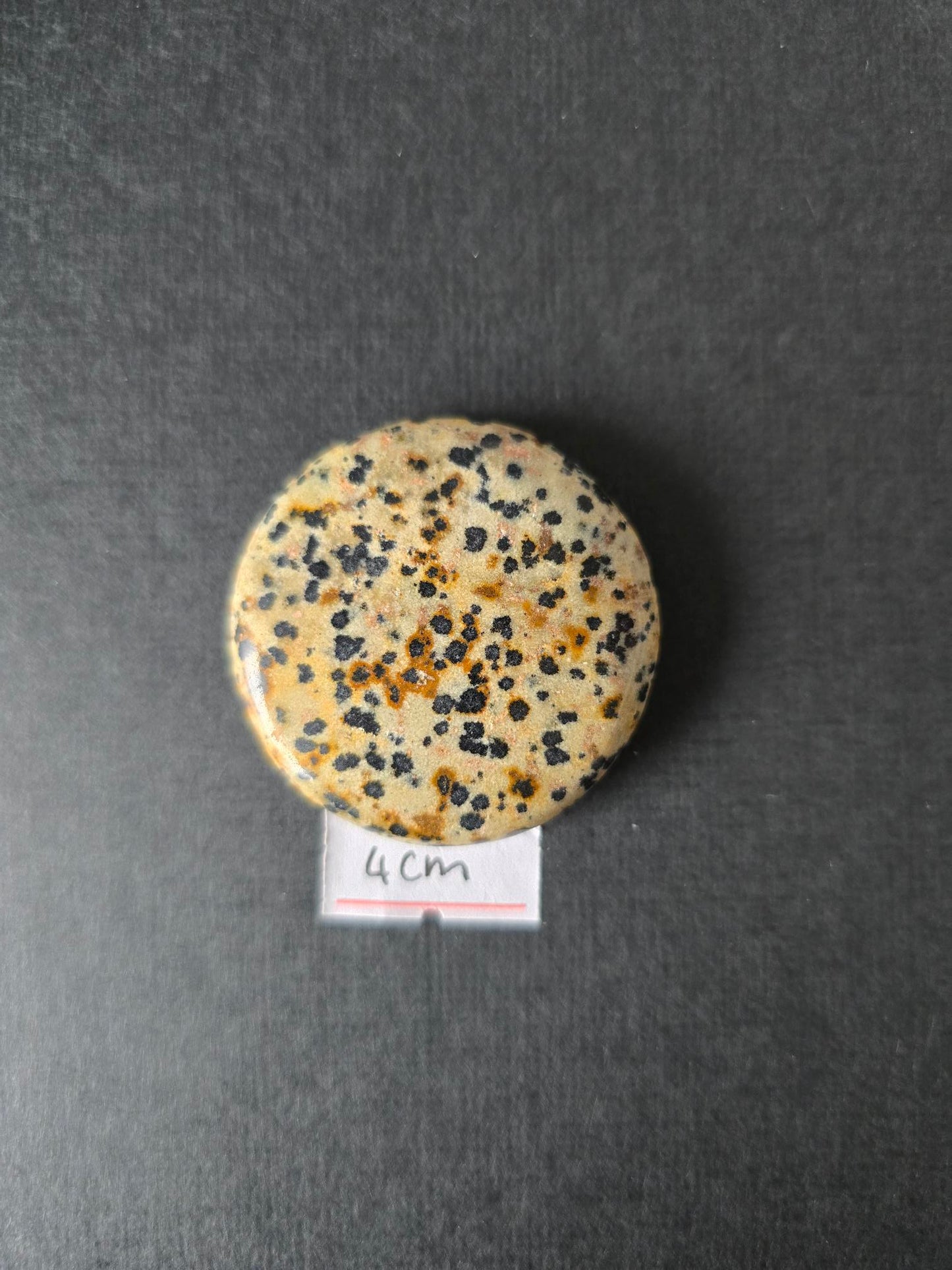 Dalmatian Jasper set of 5