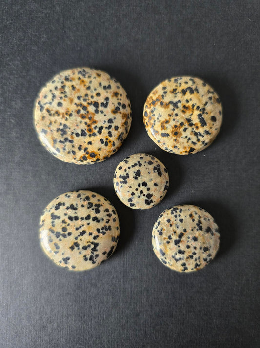 Dalmatian Jasper set of 5
