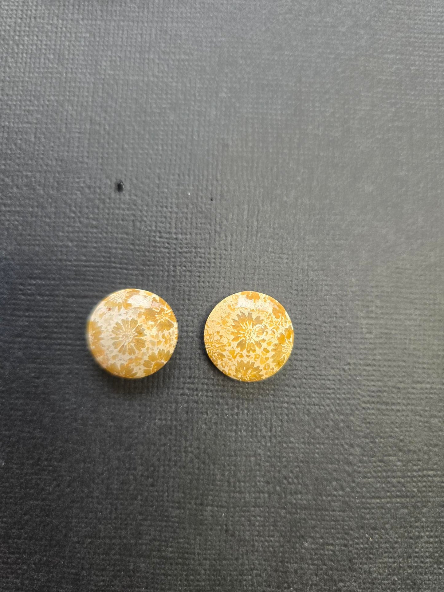 Fossilsed Coral set of 2
