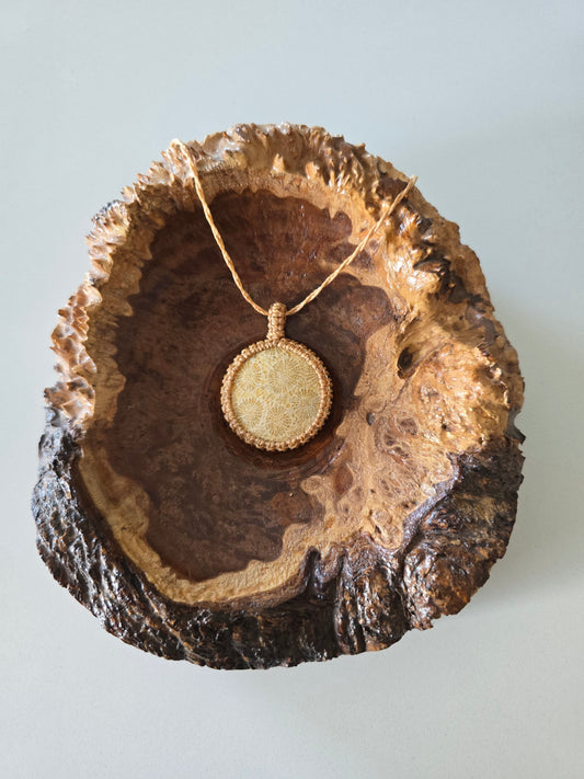 Fossilised Coral Pendant - Cream Cord