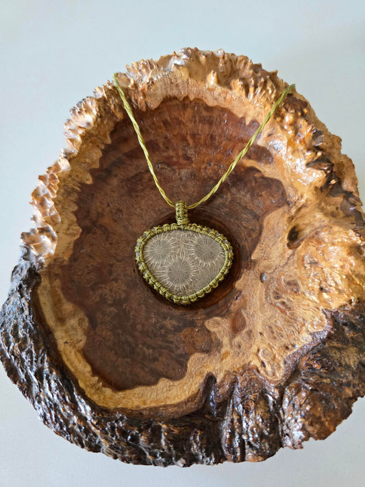 Fossilised Coral Pendant