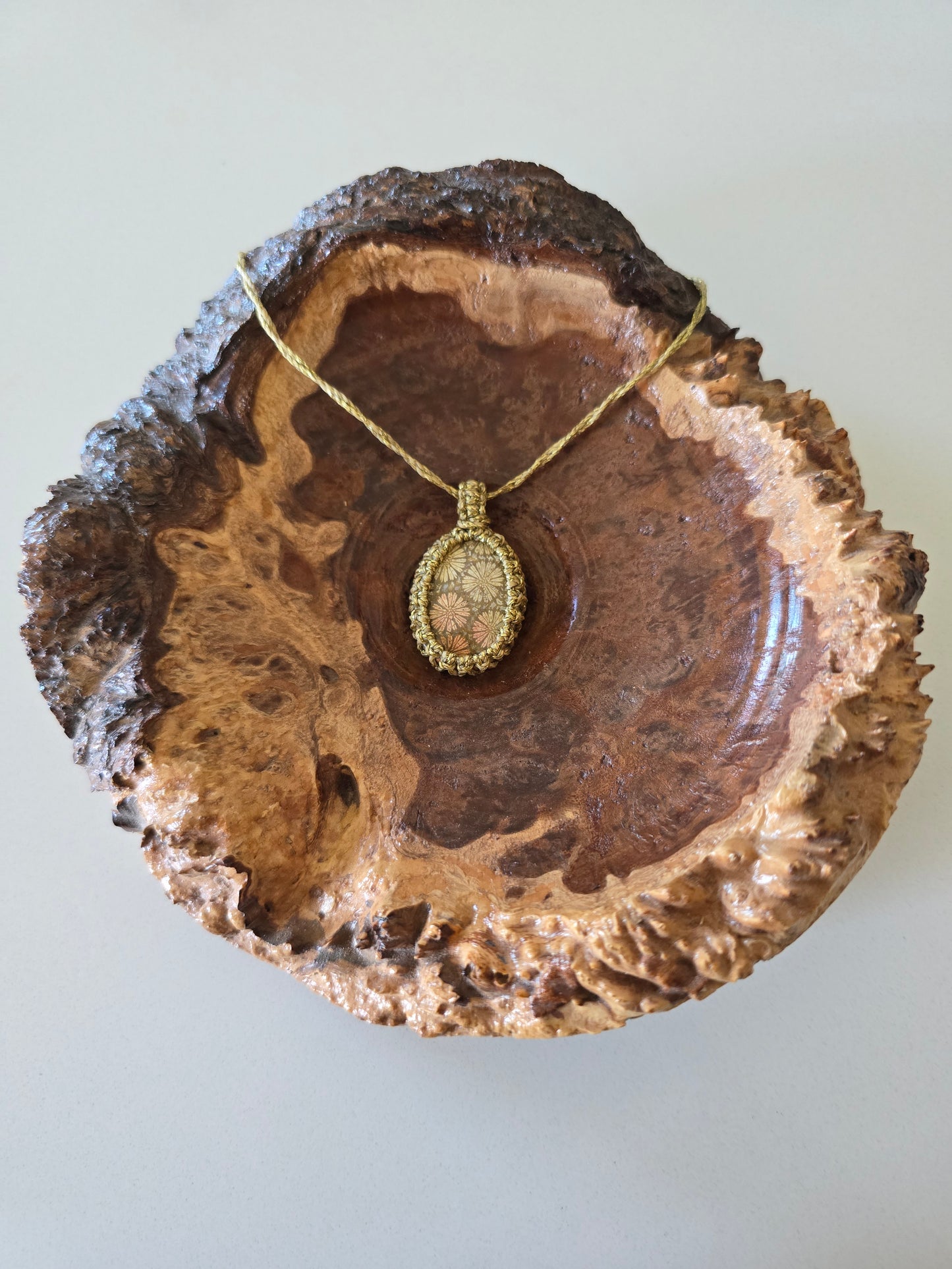 Fossilised Coral - Gold Cord